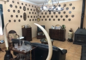 Chalet independiente con terreno en venta en Navalvillar de Pela ref: TR253701 foto