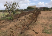 Chalet independiente con terreno en venta en Navalvillar de Pela ref: TR253701 foto