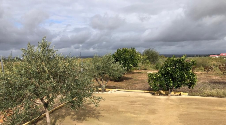 Badajoz - Navalvillar de Pela - 3191m2