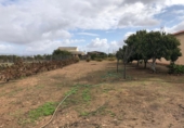 Chalet independiente con terreno en venta en Navalvillar de Pela ref: TR253701 foto