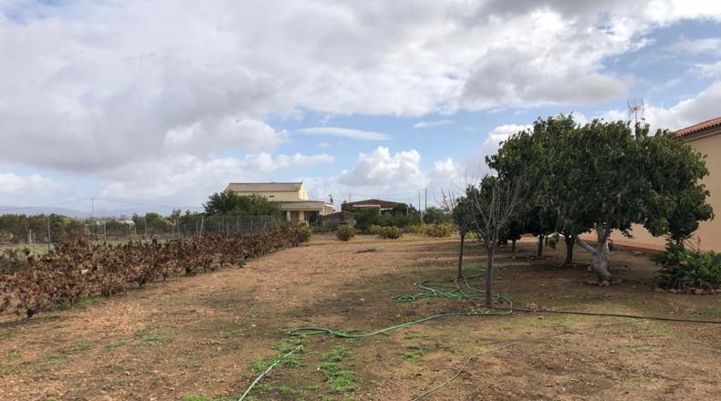 Badajoz - Navalvillar de Pela - 3191m2