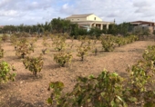 Chalet independiente con terreno en venta en Navalvillar de Pela ref: TR253701 foto