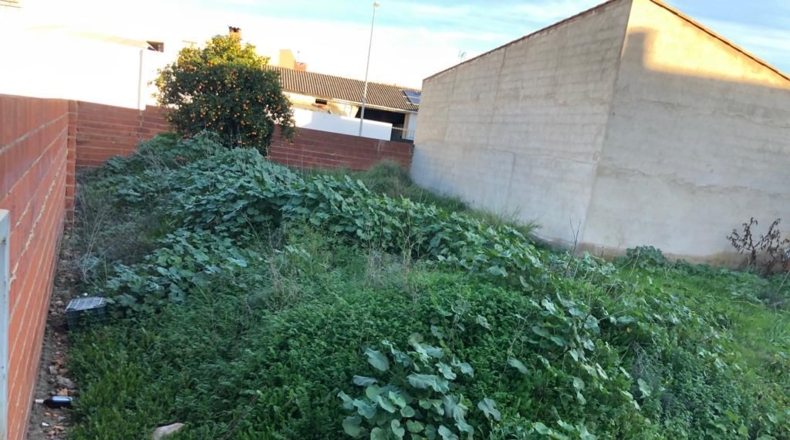 Badajoz - Navalvillar de Pela - 344m2