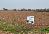 Non-developable land for sale on España, Navalvillar de Pela, ref: TR264607 photo