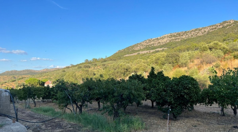 Badajoz - Navalvillar de Pela - 26000m2