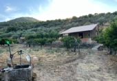Rural estate for sale on España, Navalvillar de Pela, ref: TR185575 photo