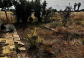 Chalet independiente con terreno en venta en Navalvillar de Pela ref: TR234718 foto