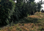 Chalet independiente con terreno en venta en Navalvillar de Pela ref: TR234718 foto