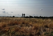 Chalet independiente con terreno en venta en Navalvillar de Pela ref: TR234718 foto