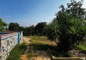 Chalet independiente con terreno en venta en Navalvillar de Pela ref: TR234718 foto
