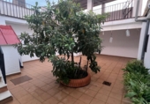 Casa de pueblo en venta en la España, Navalvillar de Pela, ref: TR355242 foto