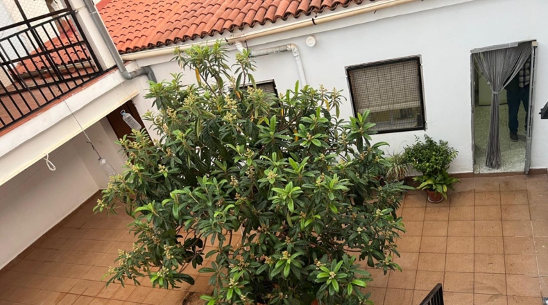 Badajoz - Navalvillar de Pela - 401m2