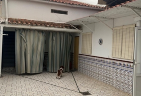 Foto 19