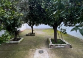 Casa de pueblo en venta en Navalvillar de Pela ref: TR383560 foto