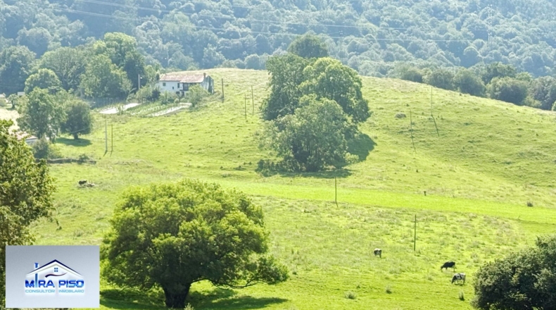 Cantàbria - Solórzano - 32000m2
