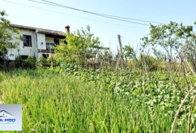 Foto 8
