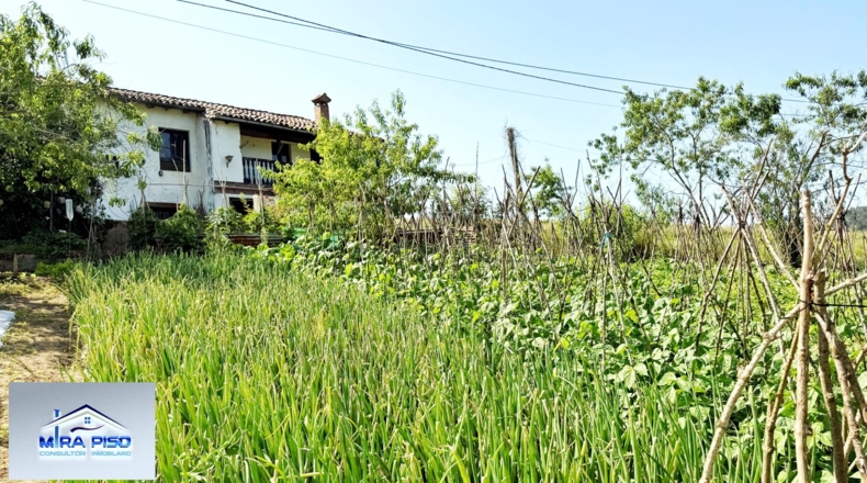 Cantàbria - Solórzano - 32000m2
