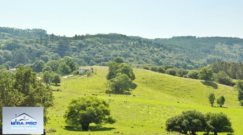 Cantàbria - Solórzano - 32000m2