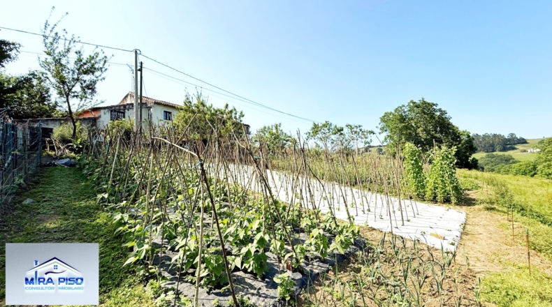 Cantàbria - Solórzano - 32000m2