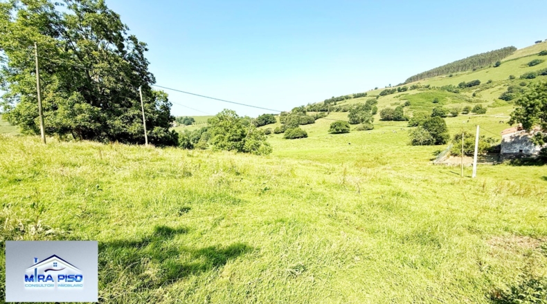 Cantàbria - Solórzano - 32000m2