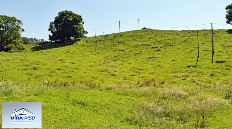 Cantàbria - Solórzano - 32000m2