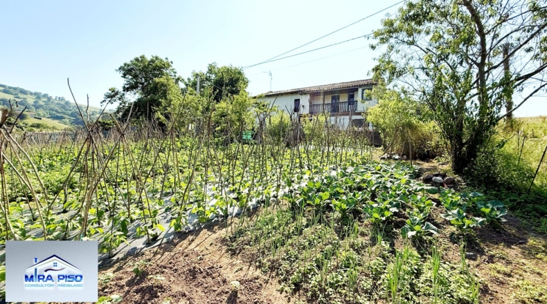 Cantàbria - Solórzano - 32000m2