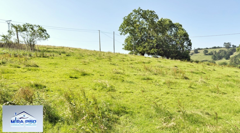 Cantàbria - Solórzano - 32000m2