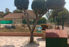 Foto 15
