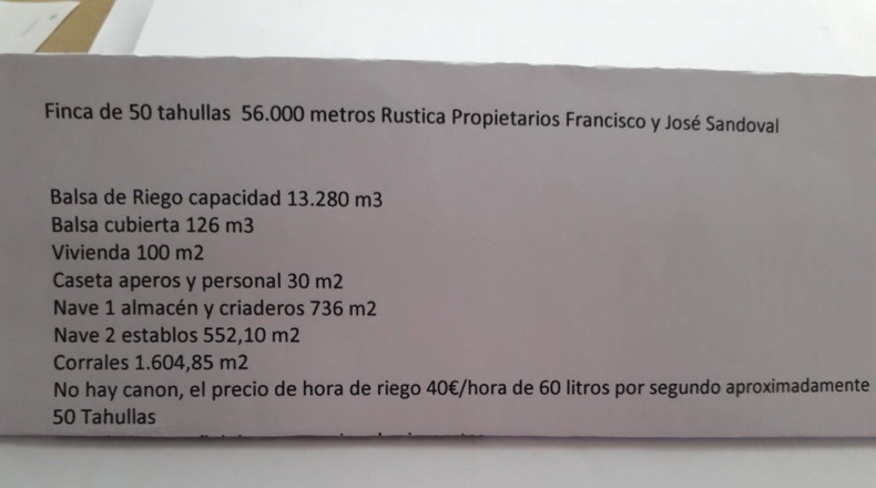 Murcia - Alguazas - 56000m2