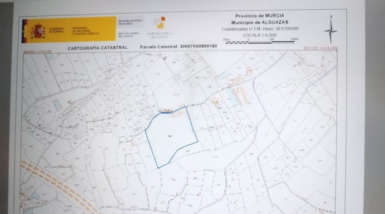Murcia - Alguazas - 56000m2