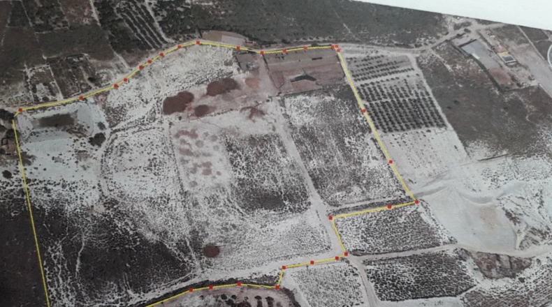 Murcia - Alguazas - 56000m2