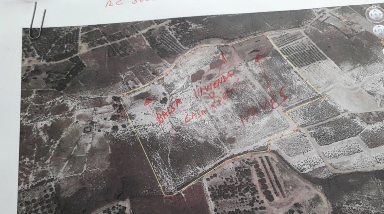 Murcia - Alguazas - 56000m2