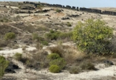 Parcel·la urbanitzable en venda a Campos del Río ref.: TR109539 foto