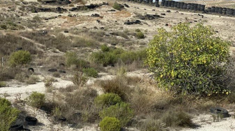 Murcia - Campos del Río - 40000m2