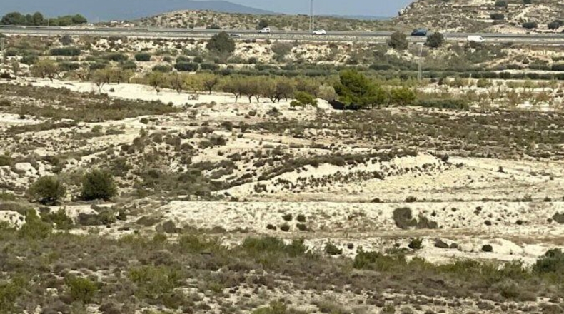 Murcia - Campos del Río - 40000m2