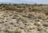 Parcel·la urbanitzable en venda a Campos del Río ref.: TR109539 foto