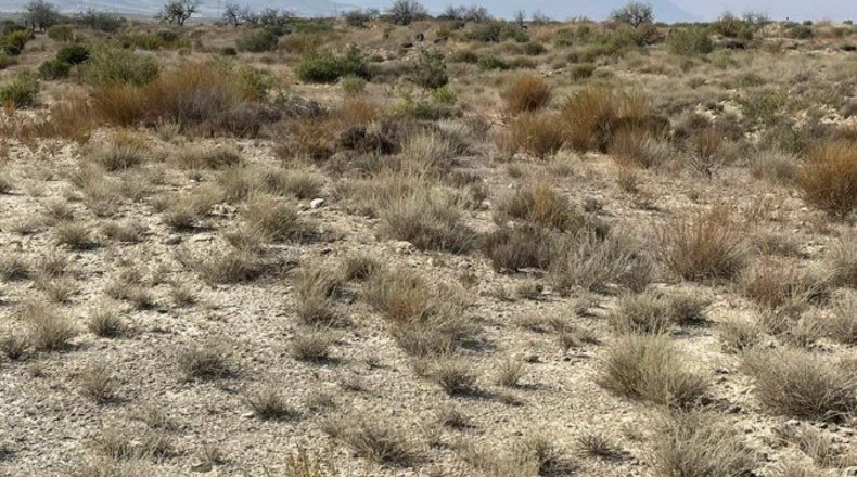 Murcia - Campos del Río - 40000m2