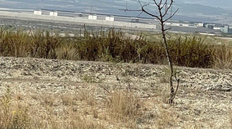 Murcia - Campos del Río - 40000m2