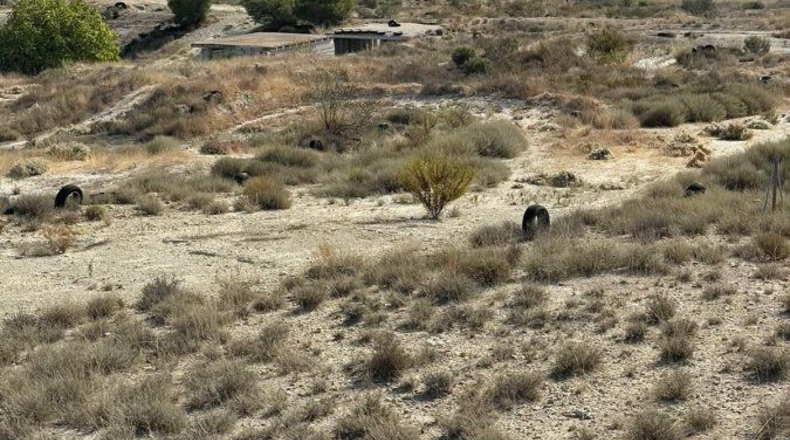 Murcia - Campos del Río - 40000m2