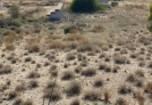 Parcel·la urbanitzable en venda a Campos del Río ref.: TR109539 foto
