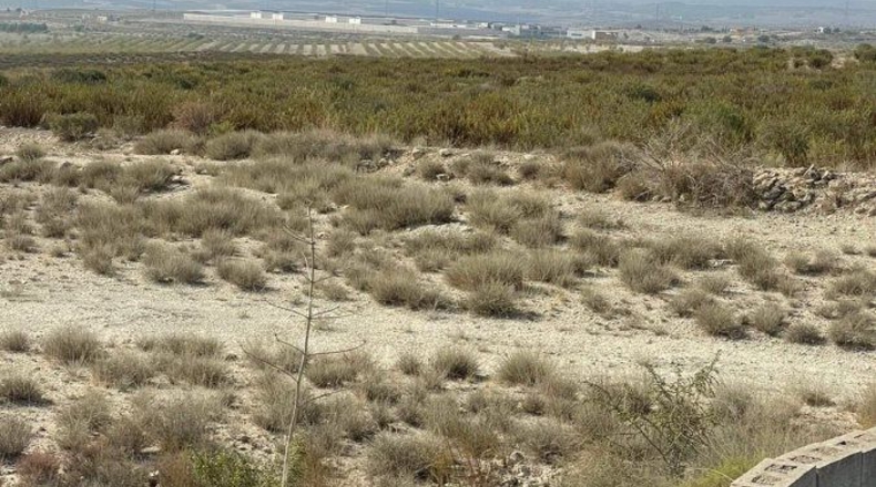 Murcia - Campos del Río - 40000m2