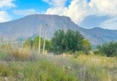 Xalet adossat amb terreny en venda a Vélez-Blanco ref.: TR185573 foto