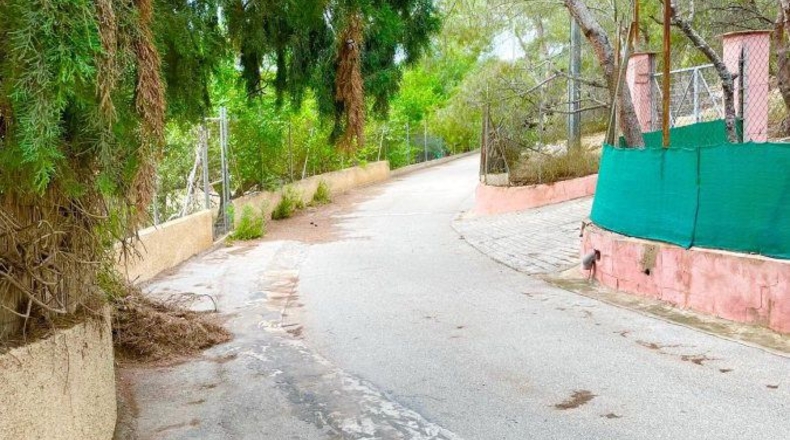 Murcia - Murcia - 520m2