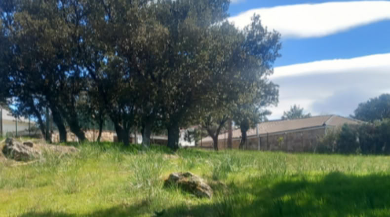 Мадрид - Villavieja del Lozoya - 1104m2