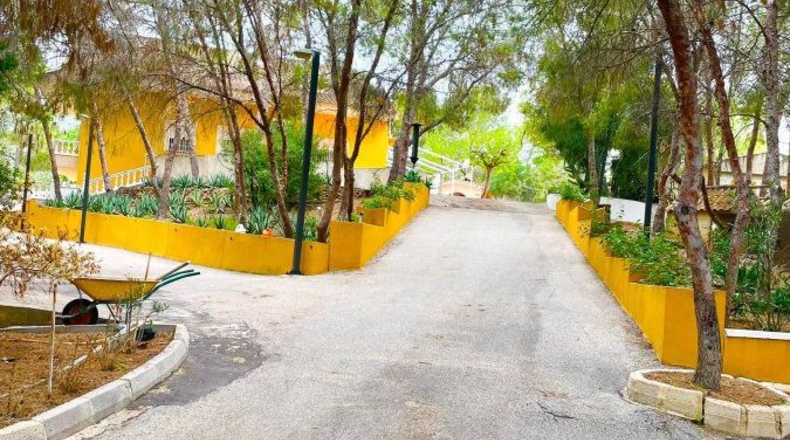 Murcia - Murcia - 520m2