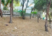 Casa con terreno en venta en Murcia ref: TR189796 foto