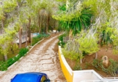Casa con terreno en venta en Murcia ref: TR189796 foto