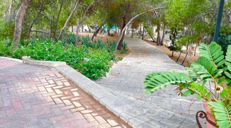 Murcia - Murcia - 520m2
