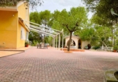 Casa con terreno en venta en Murcia ref: TR189796 foto