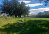 Land suitable for development for sale on Urbanización las Chaparritas. Villavieja del lozoya, Villavieja del Lozoya, ref: TR403267 photo